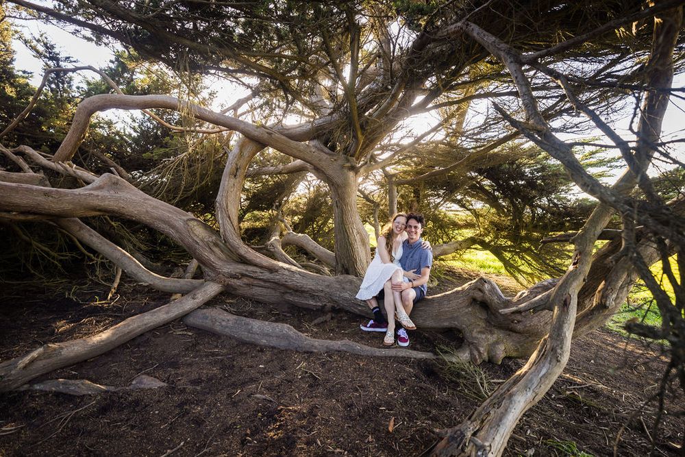 Couple sitting together among twisted tree branches in a sunlit forest grove.