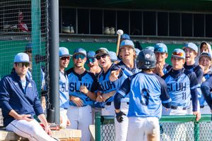 Baseball photo