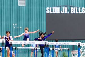 Hurdles photo