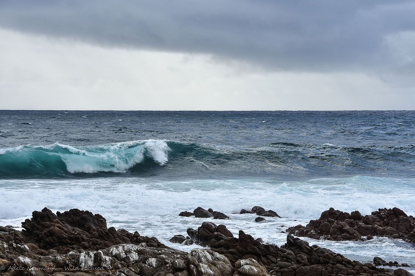Turquoise ocean waves crash against rocky shoreline under dramatic stormy gray skies.