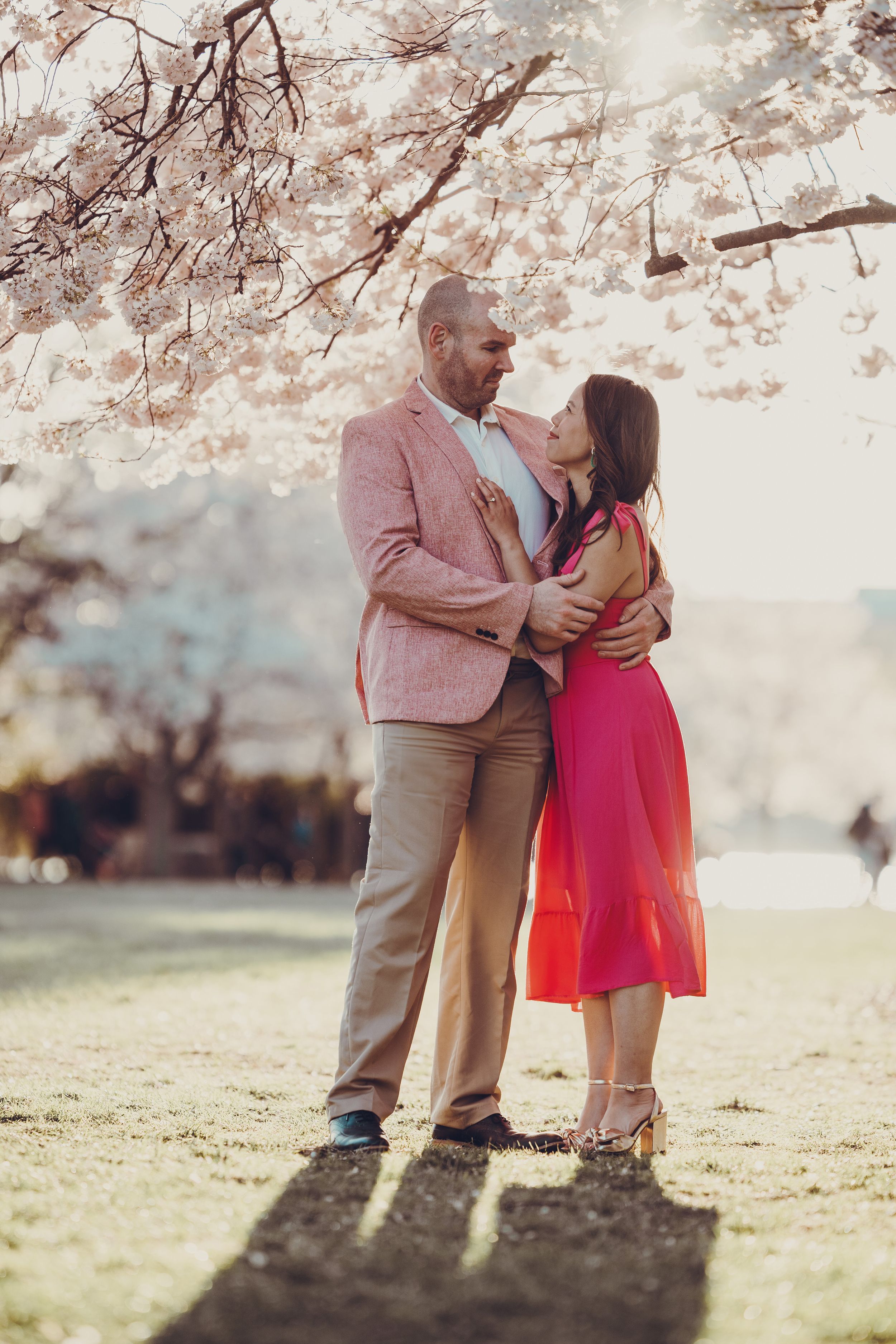 A romantic couple embraces under blooming cherry blossom trees during golden hour in the Tidal Basin in Washington, DC.