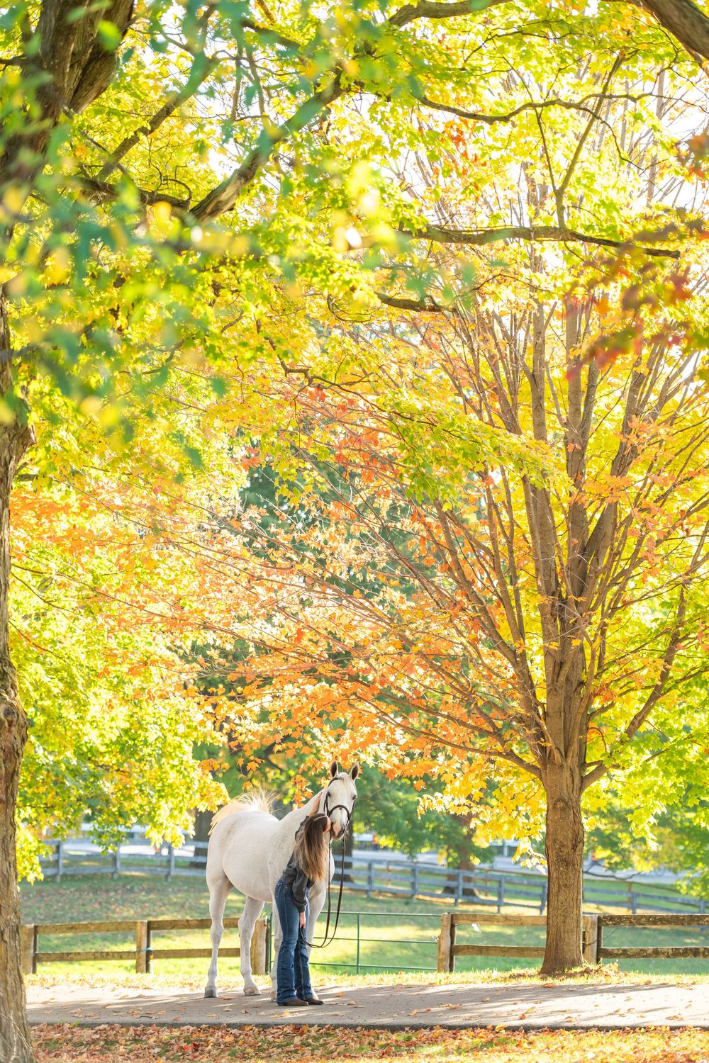 Woman stands with white horse on path surrounded by vibrant autumn foliage trees.