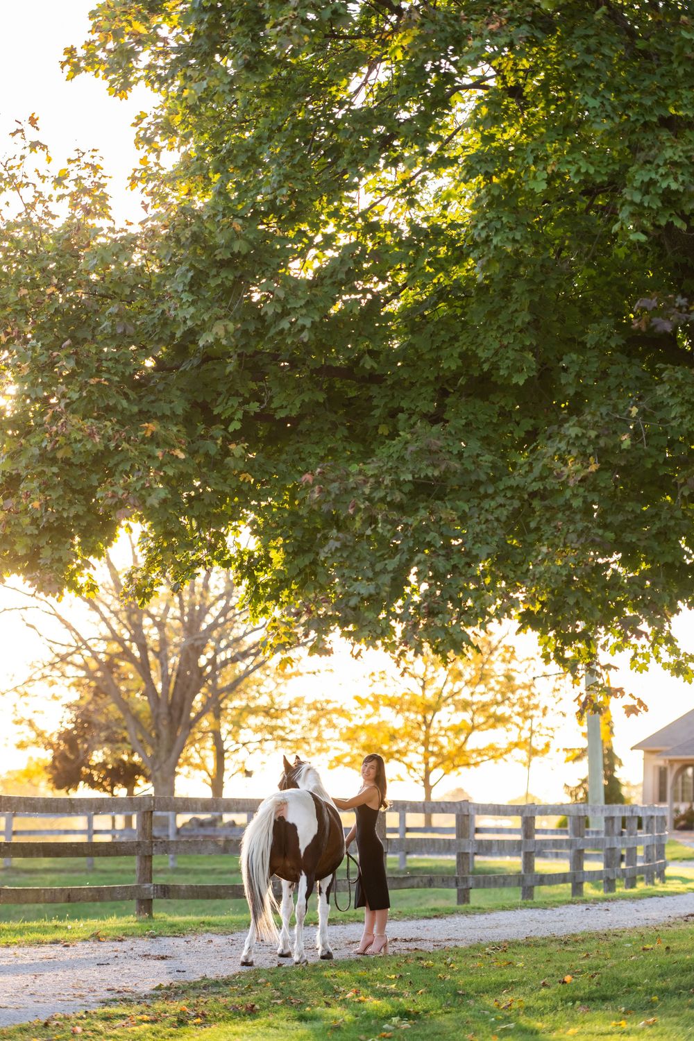 A woman in a black dress walks alongside a paint horse under large trees at golden hour.