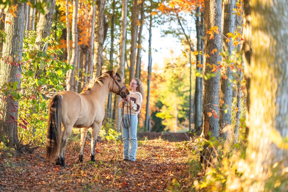 A woman stands with a buckskin horse on a sunlit autumn forest trail surrounded by colorful fall foliage.