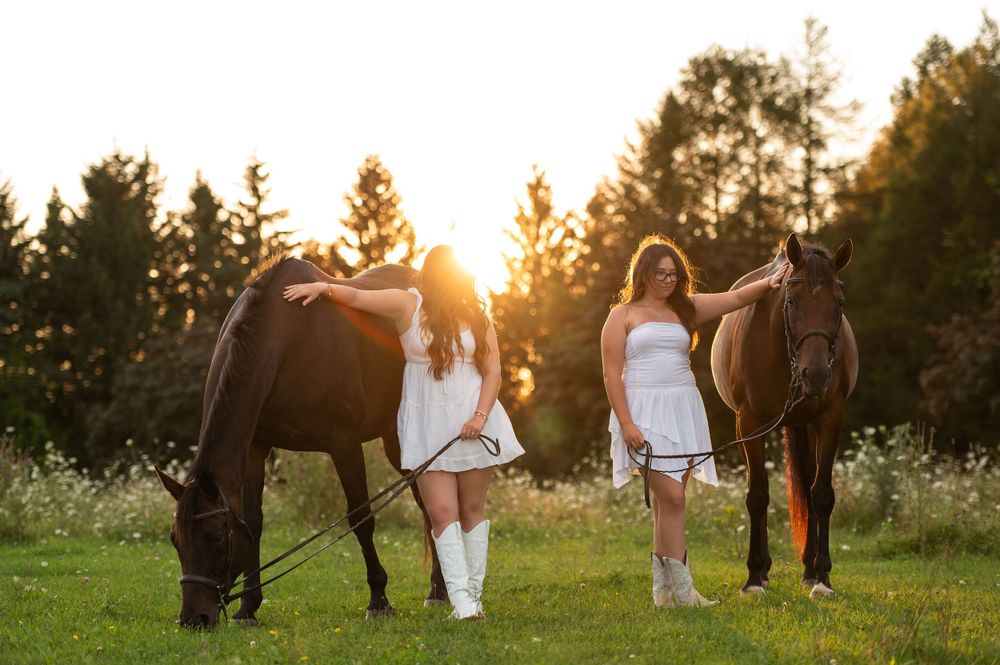 Two horses and their handlers enjoy a peaceful moment in a sunlit meadow.