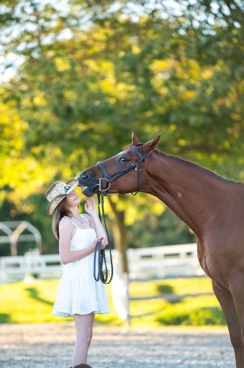 Horse and person share a sweet moment in front of white fence and golden foliage.