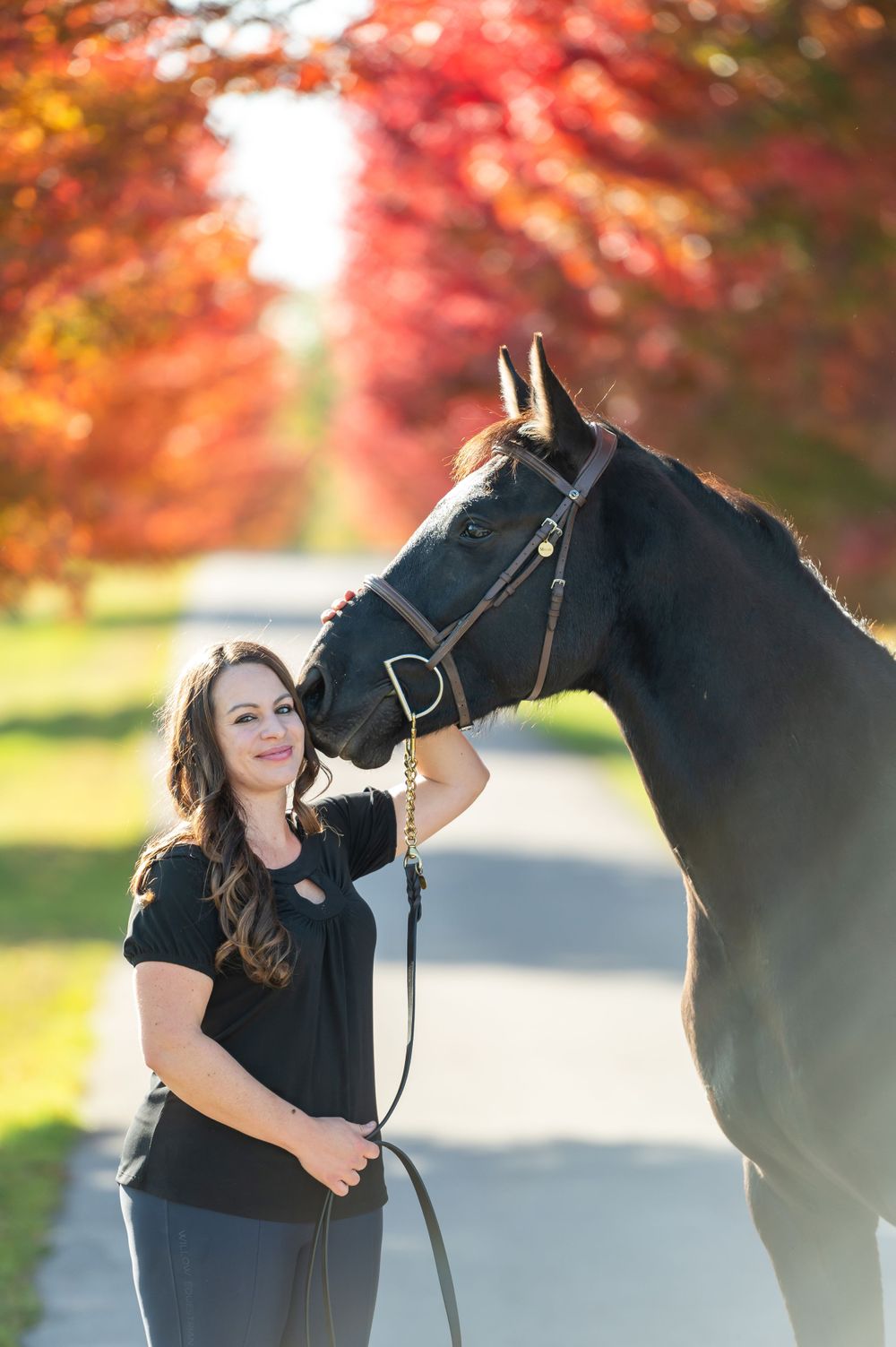 A beautiful black horse and companion share a tender moment against a backdrop of fall foliage.
