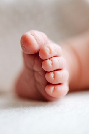 Close-up macro photograph of tiny baby toes and feet against a soft white background.