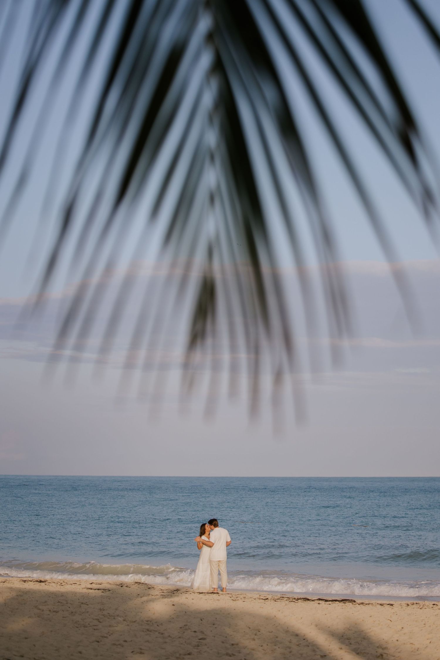 Distant couple walking along the beach, framed by a fallen palm leaf in the foreground, creating a natural curtain at golden hour.