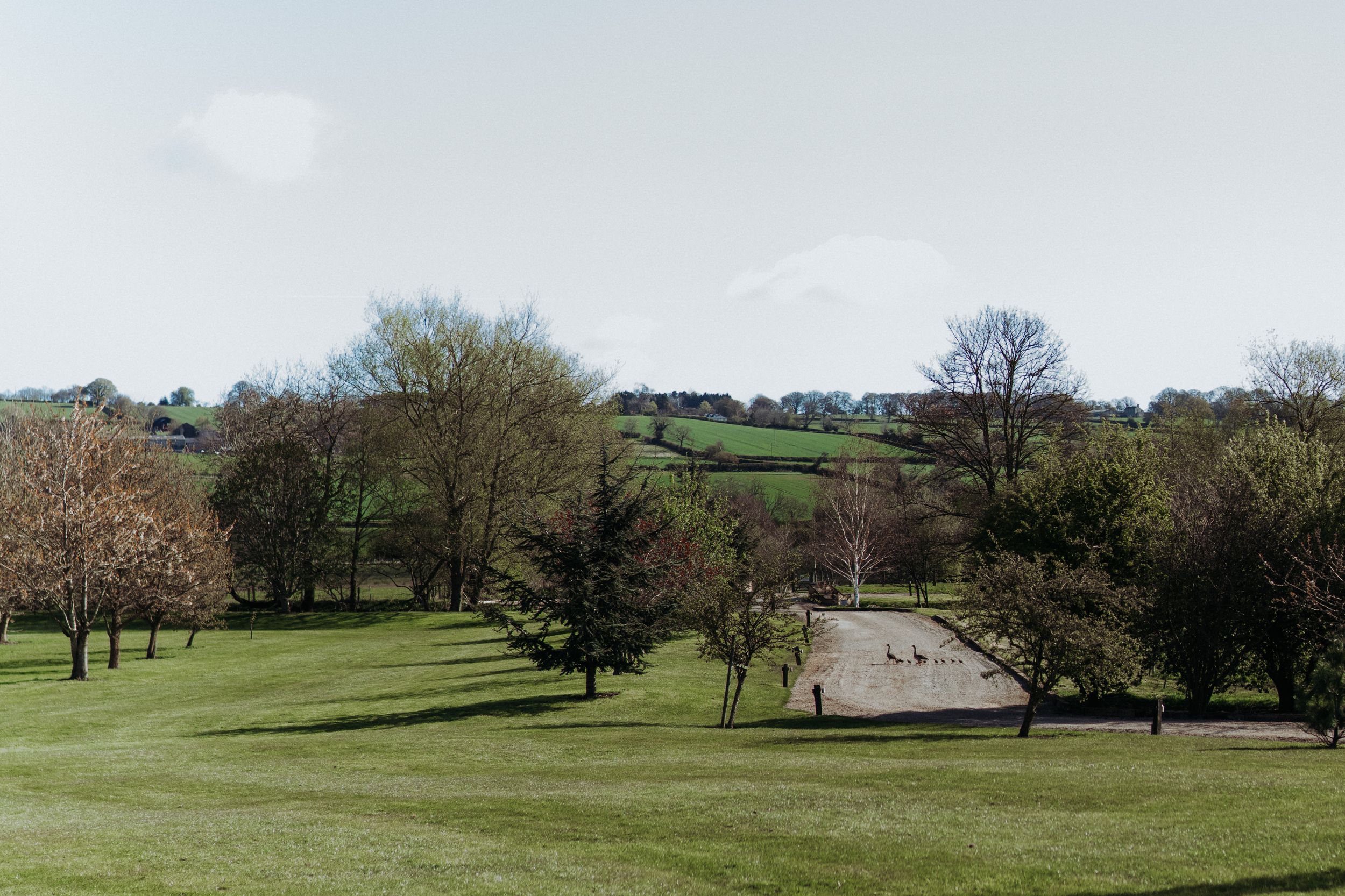 Rolling green hills with walking path and scattered trees under bright blue sky.
