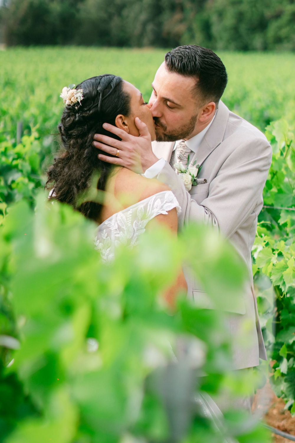 A romantic wedding couple shares a tender kiss among lush green vineyard vines on their special day.