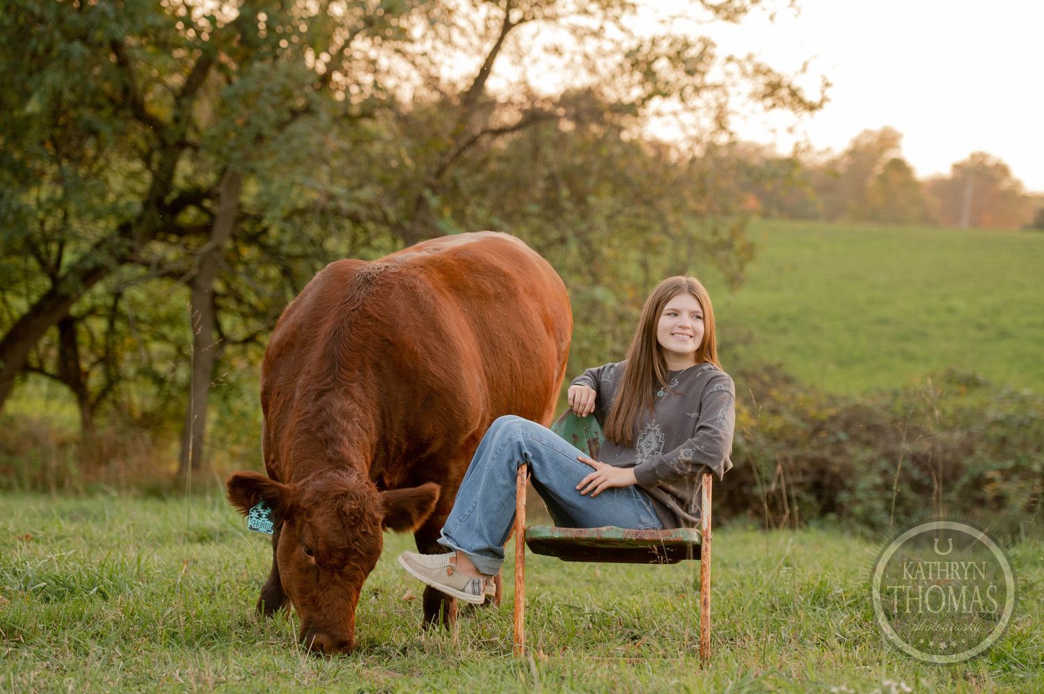 Someone relaxes in a wooden chair while a large brown cow grazes nearby during golden hour.