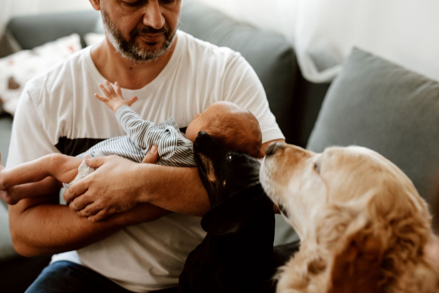 Family moment with a dog curiously watching a baby on the couch.