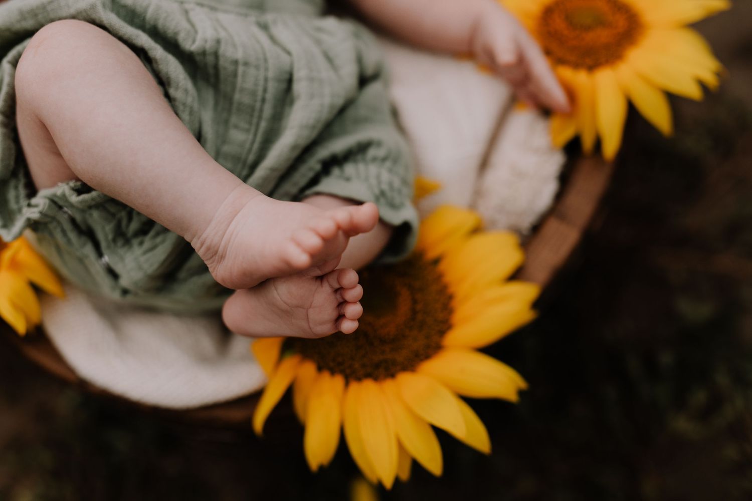 Tiny baby feet resting near bright yellow sunflowers.