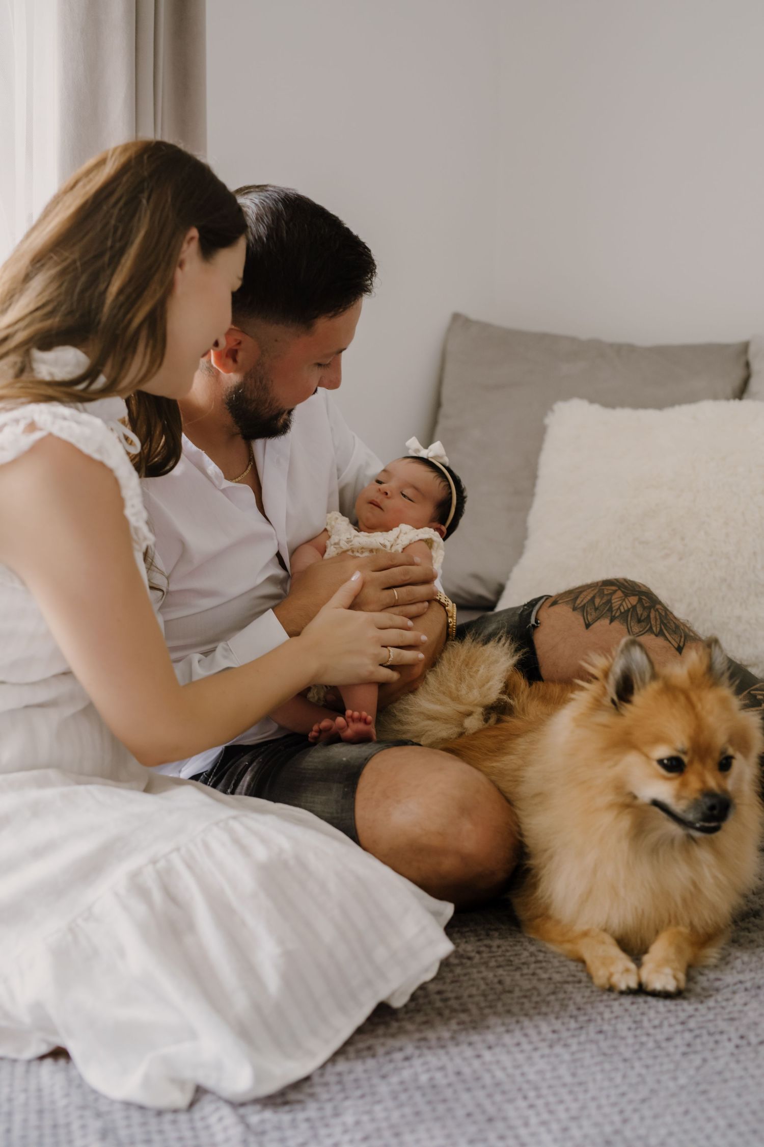 Parents cradling newborn on grey couch with fluffy Pomeranian companion.