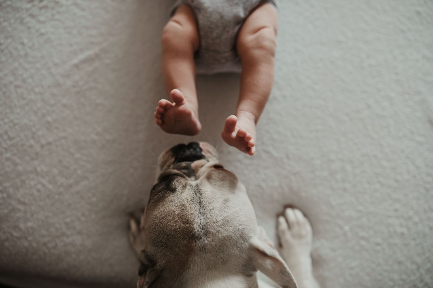 A small baby's feet next to a dog's head photographed from above.