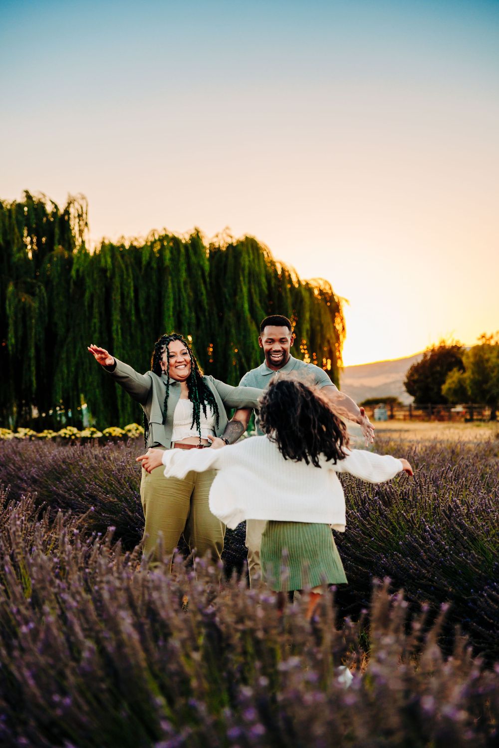 A joyful family plays together in a blooming lavender field at sunset with willow trees in the background.