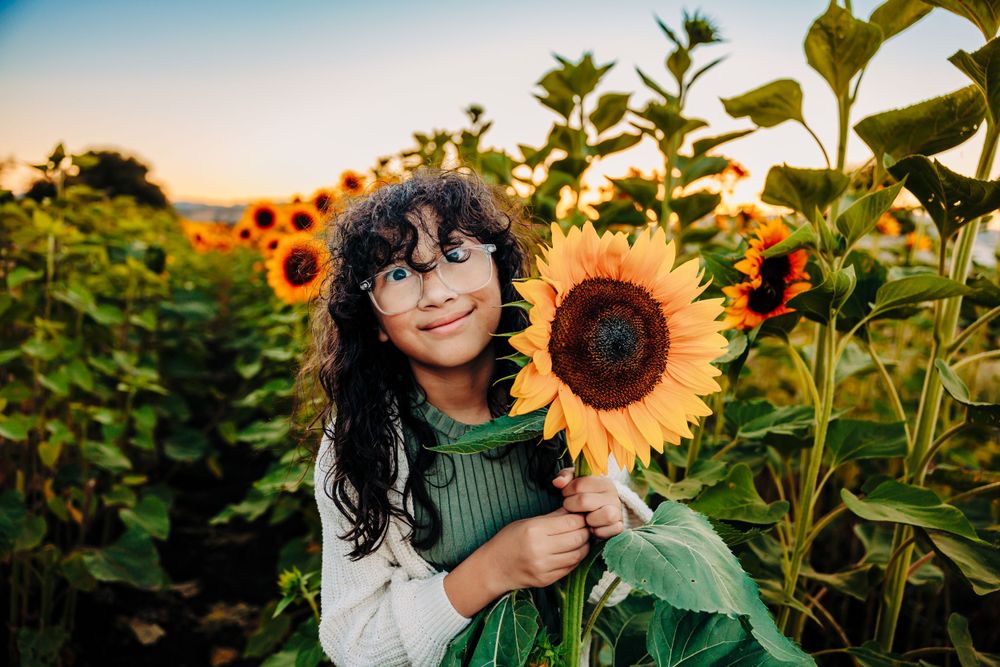 Cheerful person in a green sweater poses with bright yellow sunflowers in a sunny garden field at sunset.