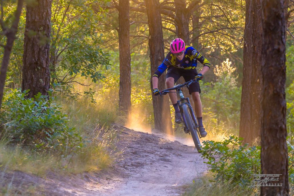 Mountain biker rides through misty forest trail during golden hour sunset with purple helmet and gear.