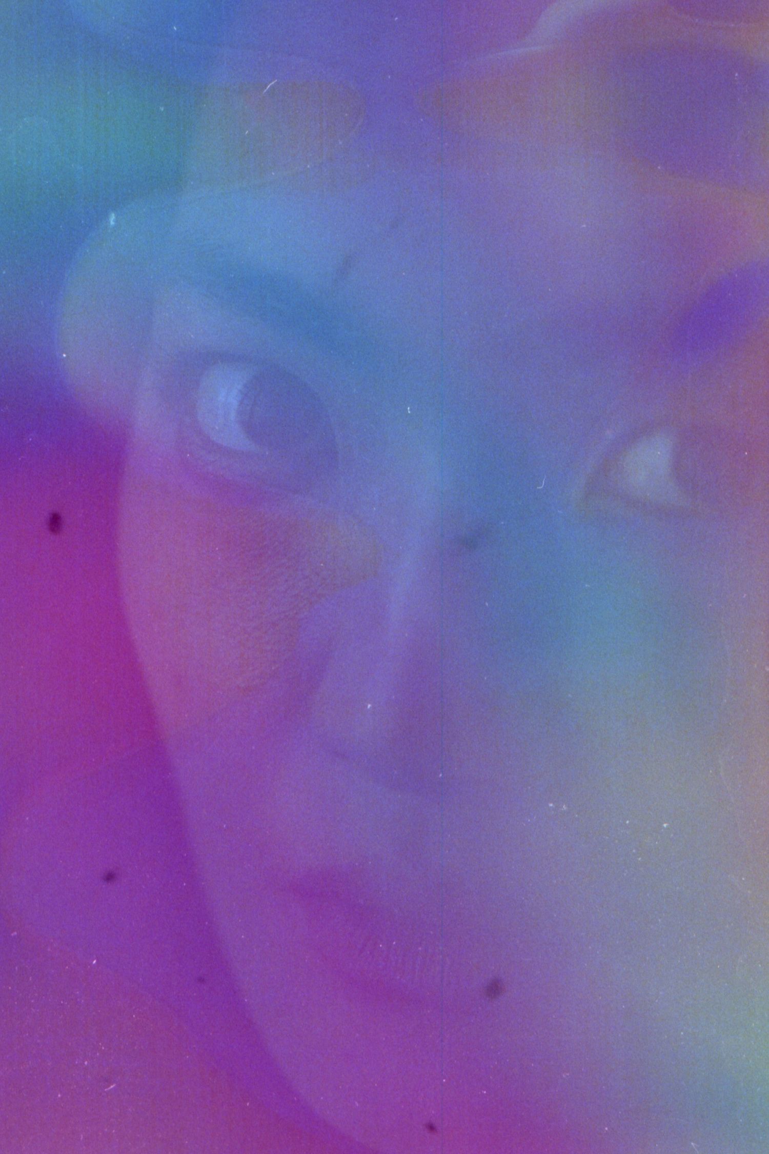 Ethereal close-up portrait with iridescent blue and purple color overlay creating a mystical atmosphere.