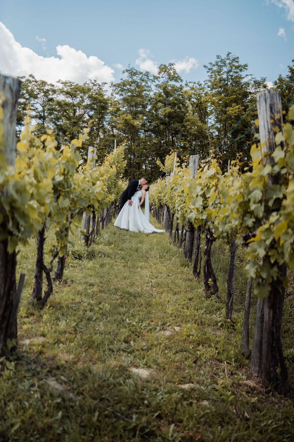 A white wedding dress stands between rows of grapevines in a scenic vineyard on a sunny summer day.
