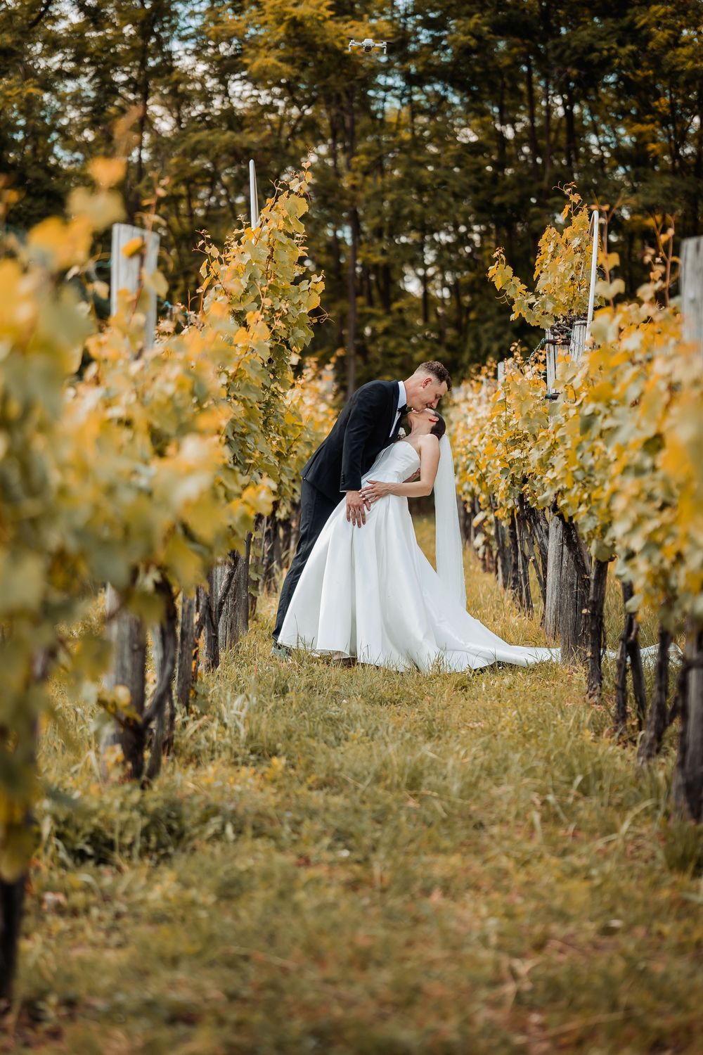 A couple embraces among golden autumn grapevines in a scenic vineyard during their fall wedding shoot.