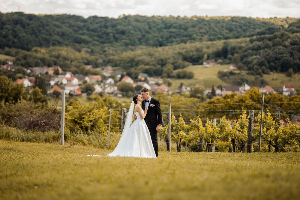 A couple stands together on a hilltop overlooking a scenic countryside landscape with rolling hills and a vineyard.