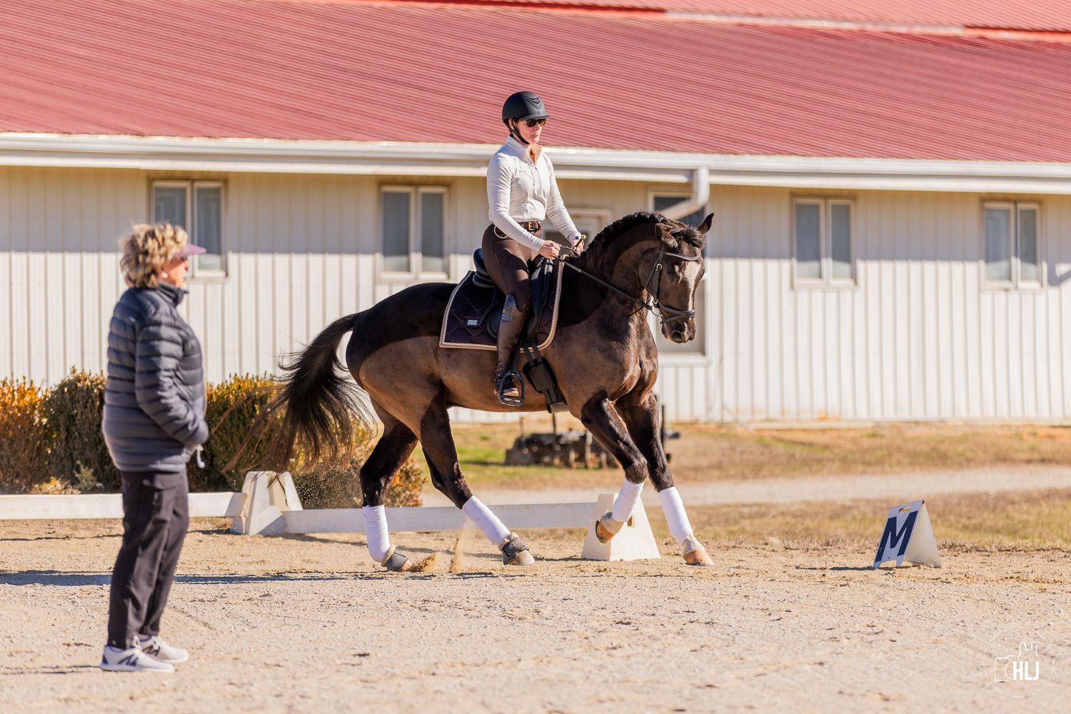 Equestrian rider practicing dressage on a dark horse in an outdoor arena while receiving instruction from a trainer.