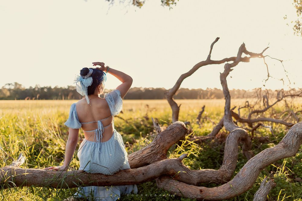 Dreamy scene at golden hour with someone in a blue dress sitting on a fallen tree branch in a serene field.