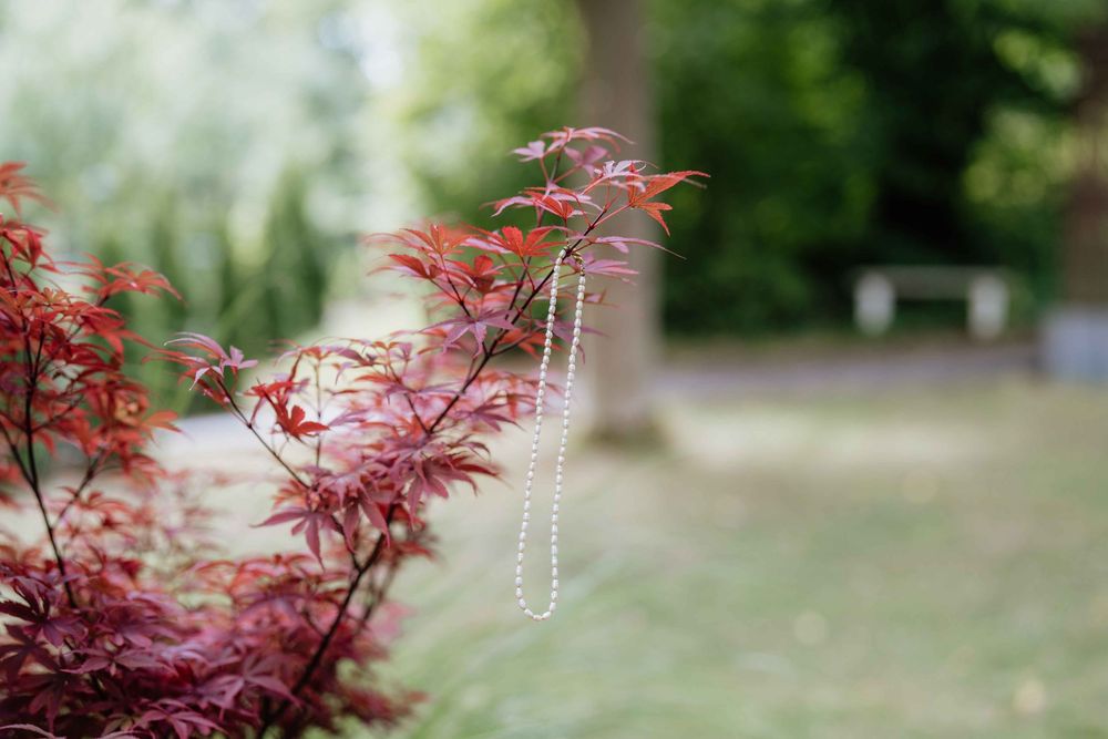 Pearl necklace hanging on red Japanese maple branches in a romantic garden setting.
