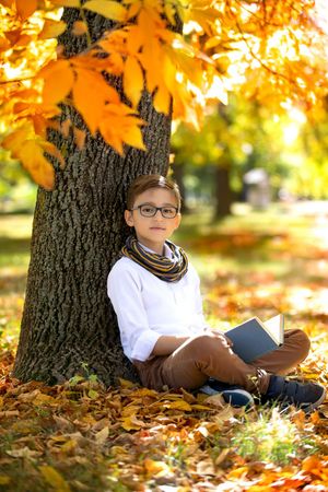 Child sitting against tree trunk surrounded by golden fall leaves in afternoon sunlight.