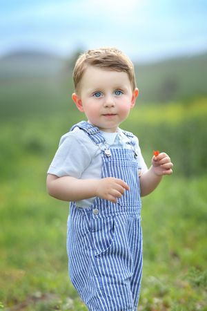 Baby in blue striped overalls plays in sunny green field.