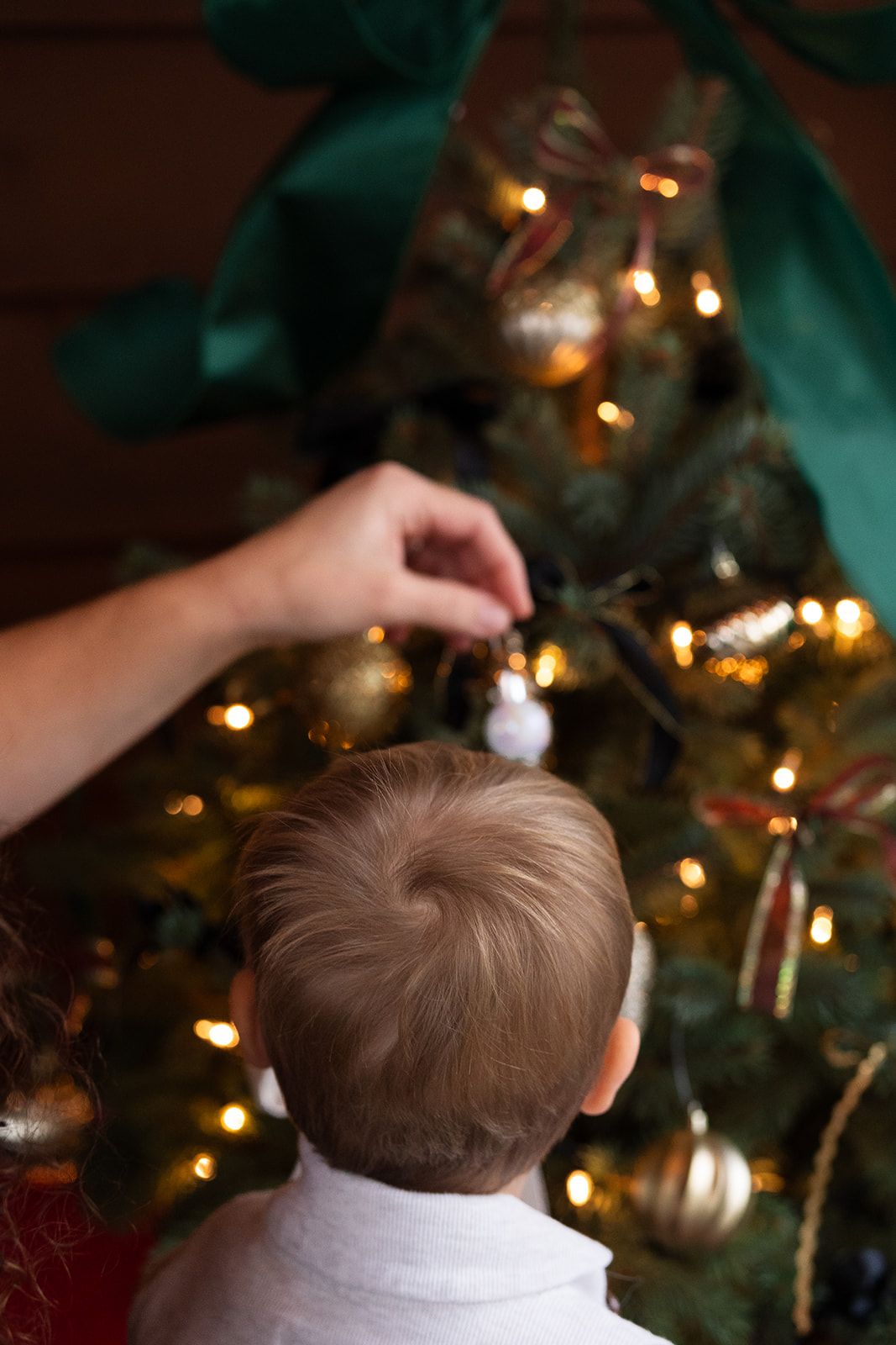 A close-up view of tree decorating and twinkling lights during the holiday season.