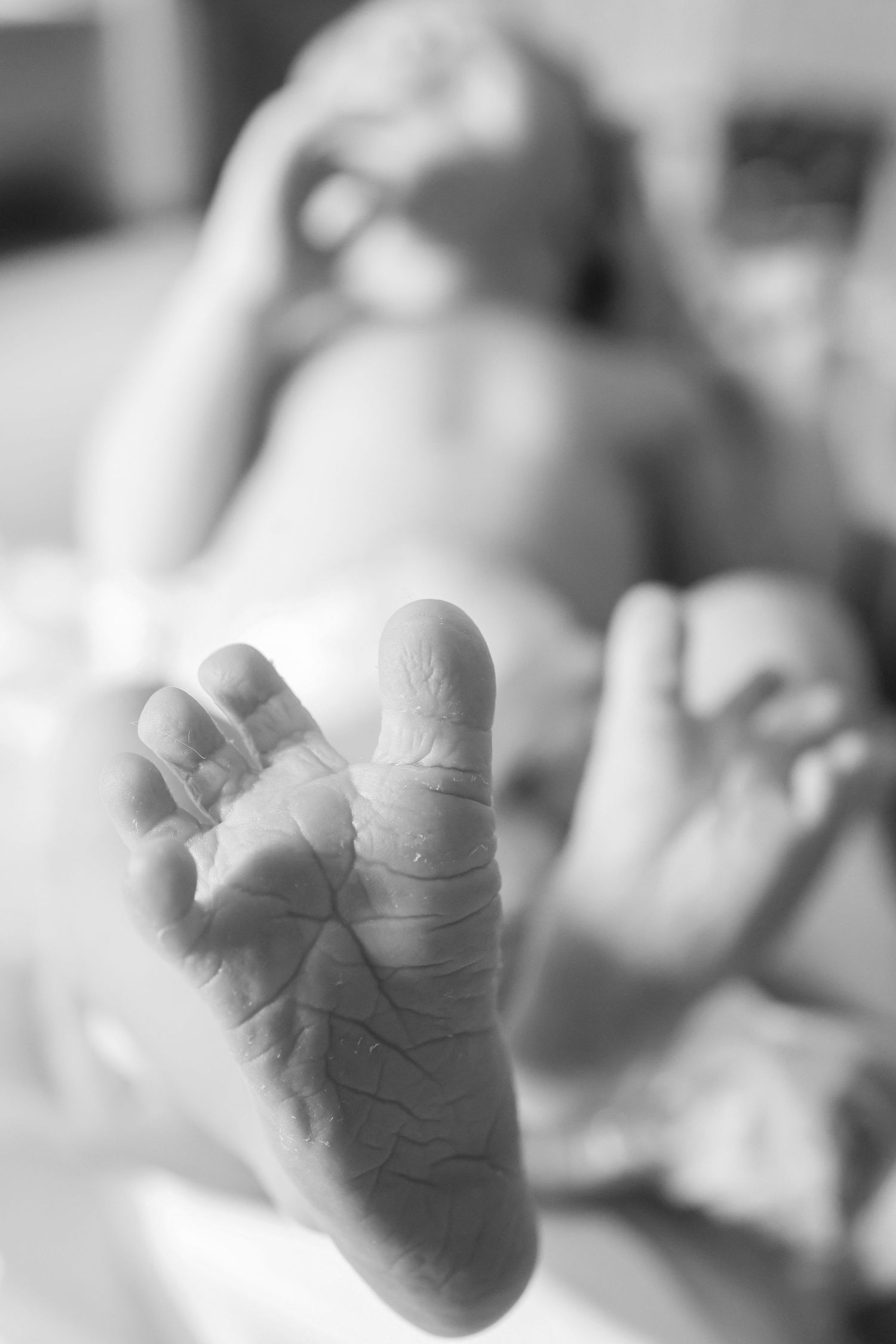 Black and white series of tiny newborn baby feet.