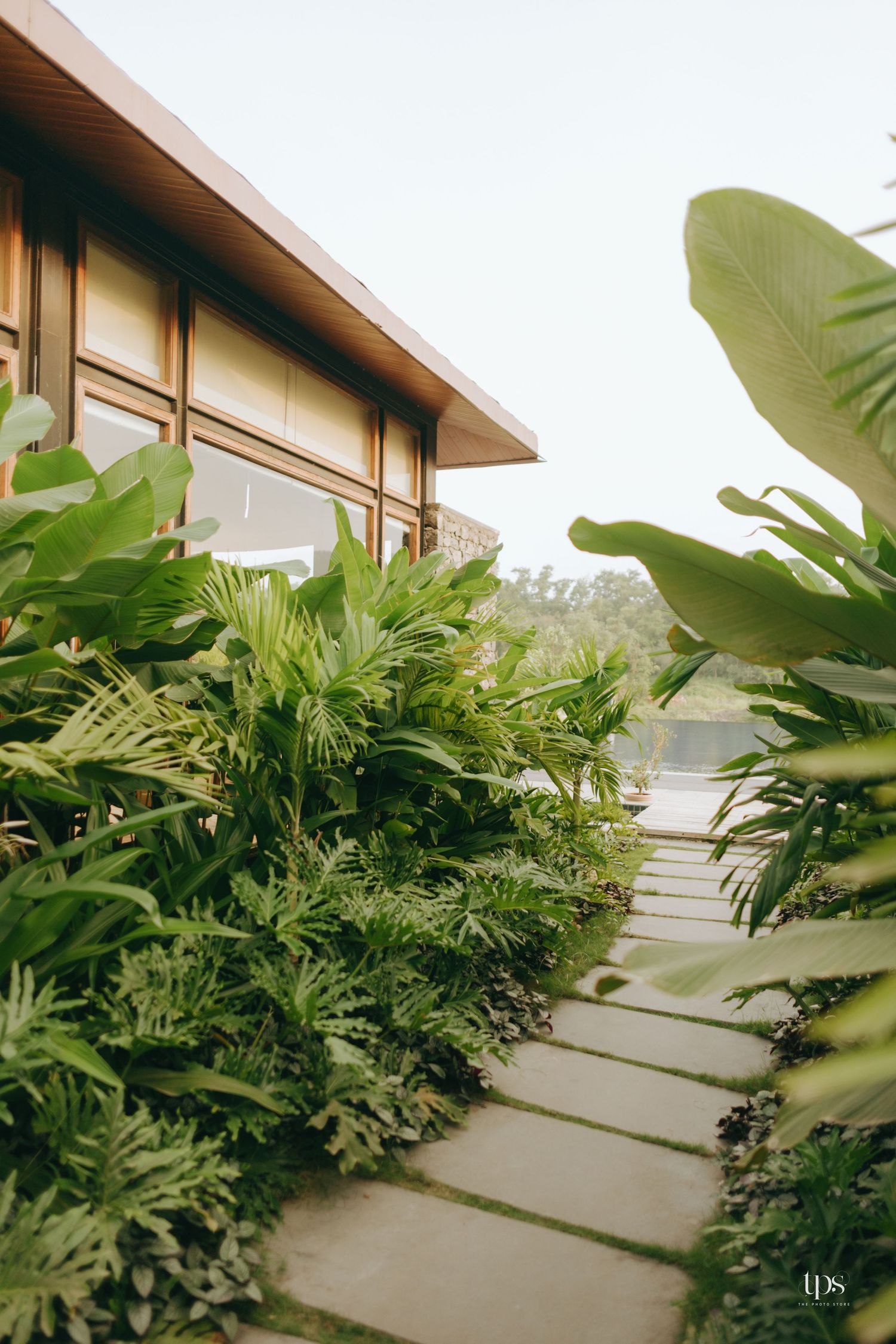 Tropical garden pathway with large banana leaves and palm fronds leading to a modern building.