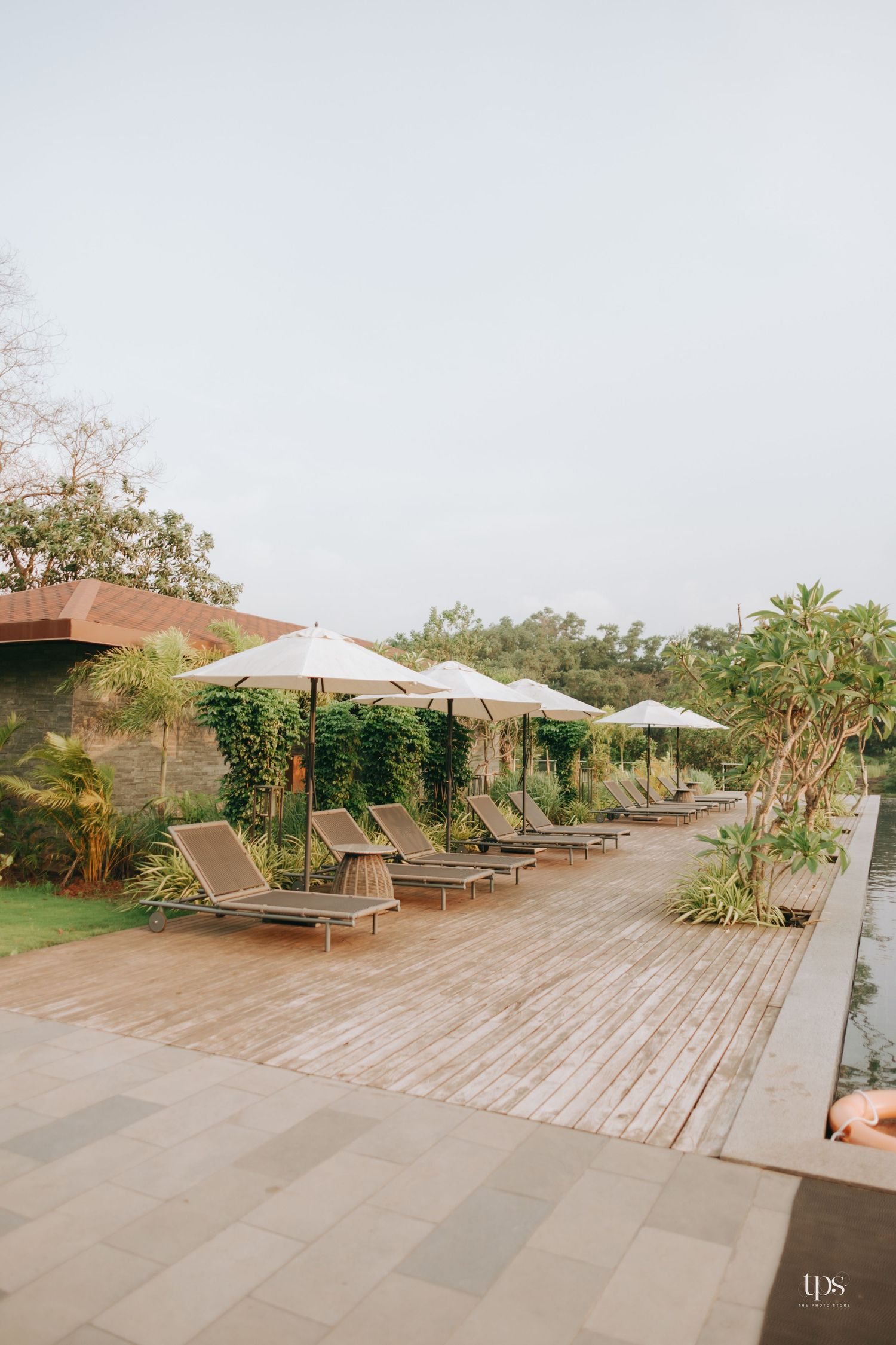 Pool deck with lounge chairs and umbrellas arranged along a wooden boardwalk.