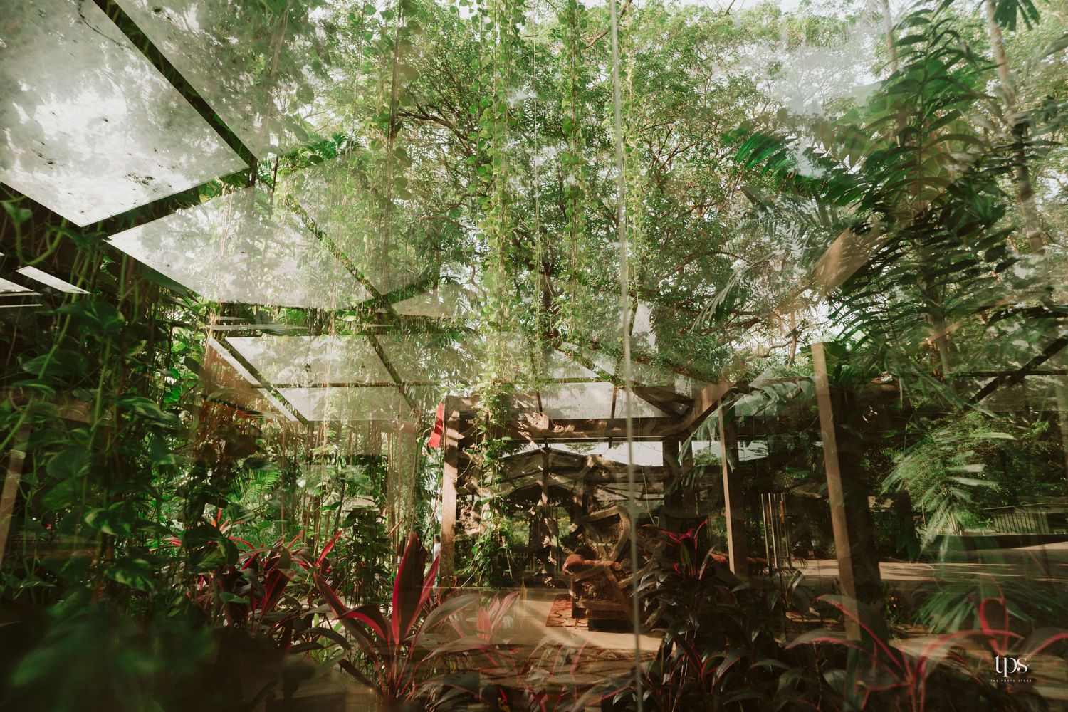 Panoramic view of a tropical garden setting with covered structures and natural lighting.