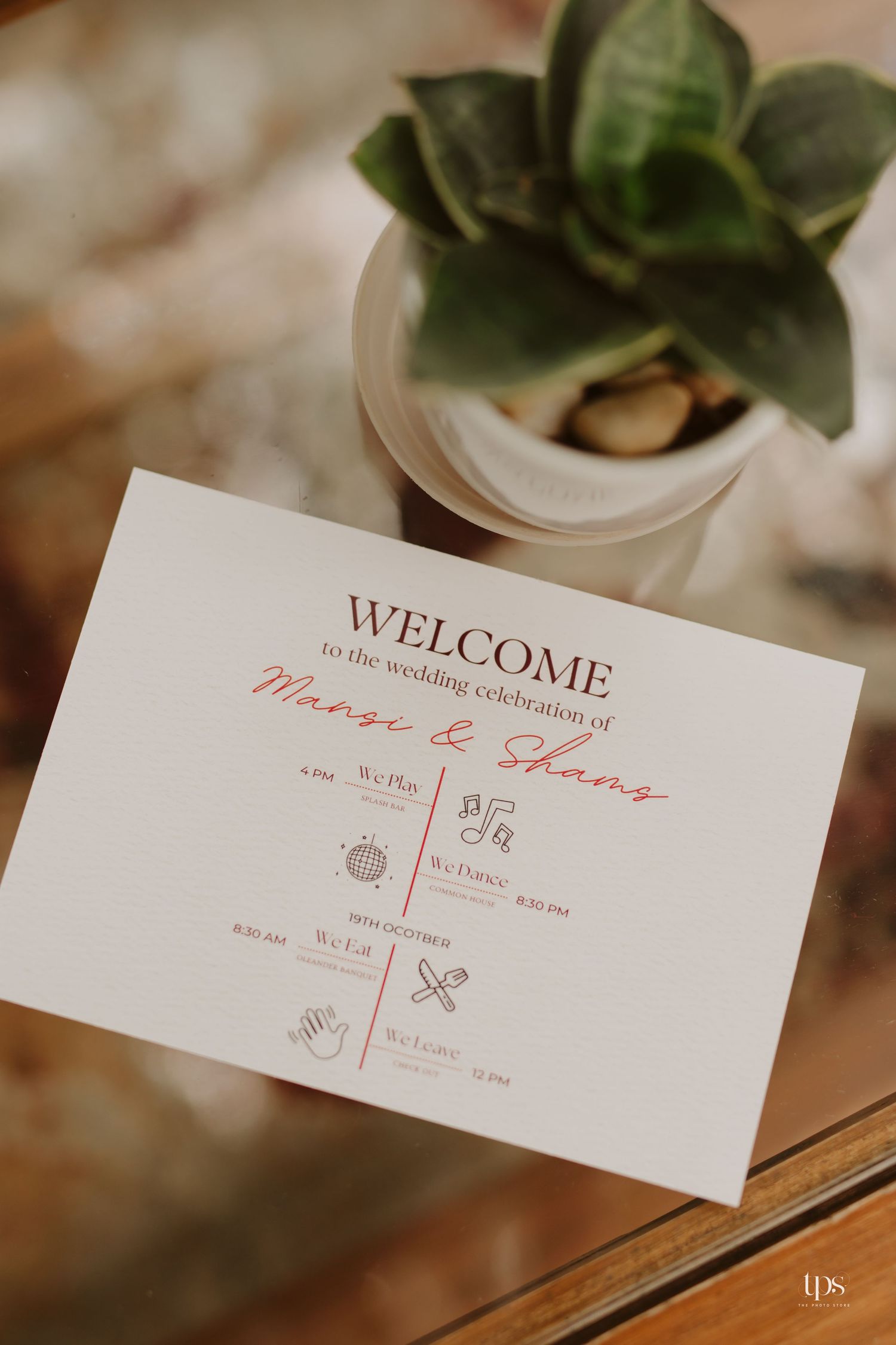 Wedding welcome card with event details displayed next to a small potted succulent.