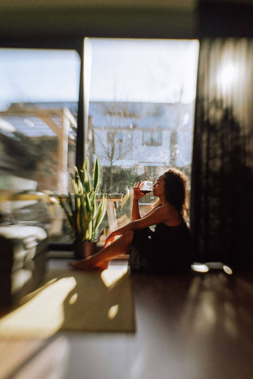 Silhouetted figure by window with houseplants in sunlit room.