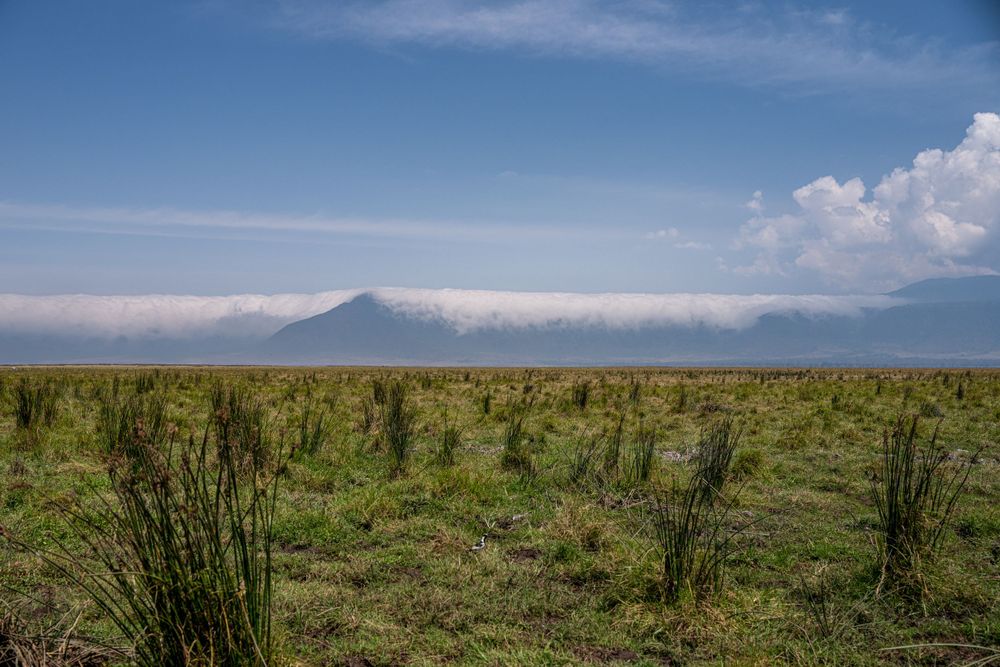 Panoramic view of vast African savanna with mountains in background.