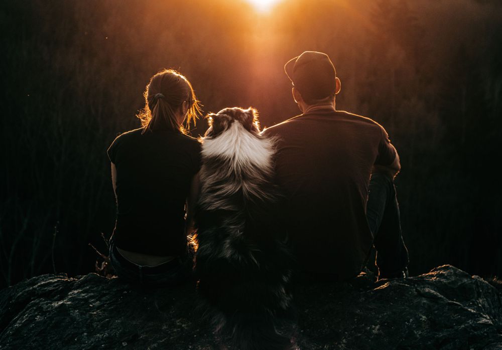 Silhouettes of two people and a dog watching sunset together on a rocky outcrop.