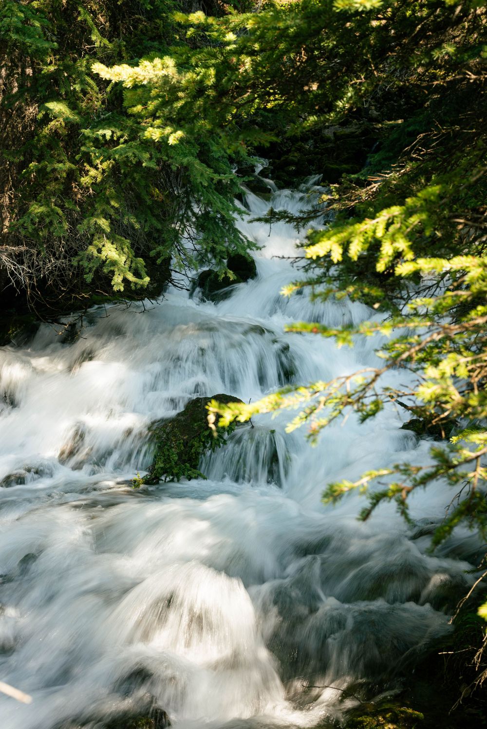 Cascading waterfall flowing through lush green forest with sunlit foliage framing the rushing water.