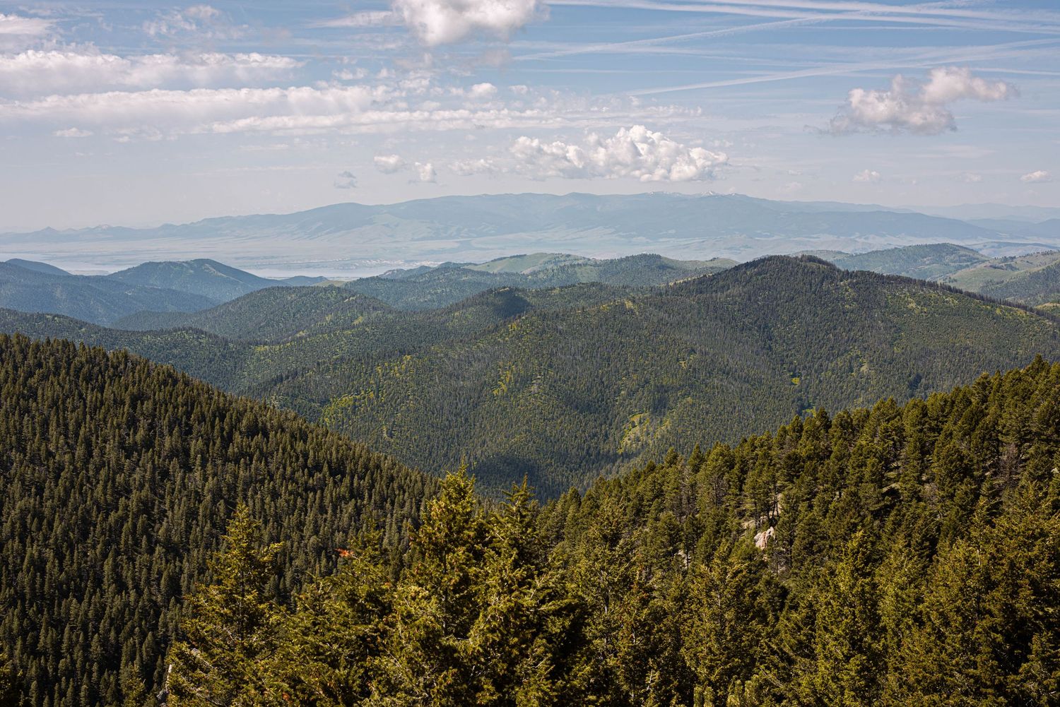 Panoramic view of lush green forested mountains under a blue sky with distant hazy peaks stretching to the horizon.