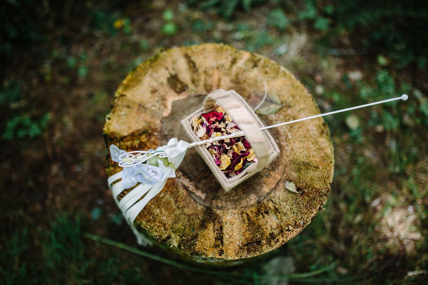 Rose petals scattered in wooden box with rustic ribbon decoration photographed from above on tree stump.
