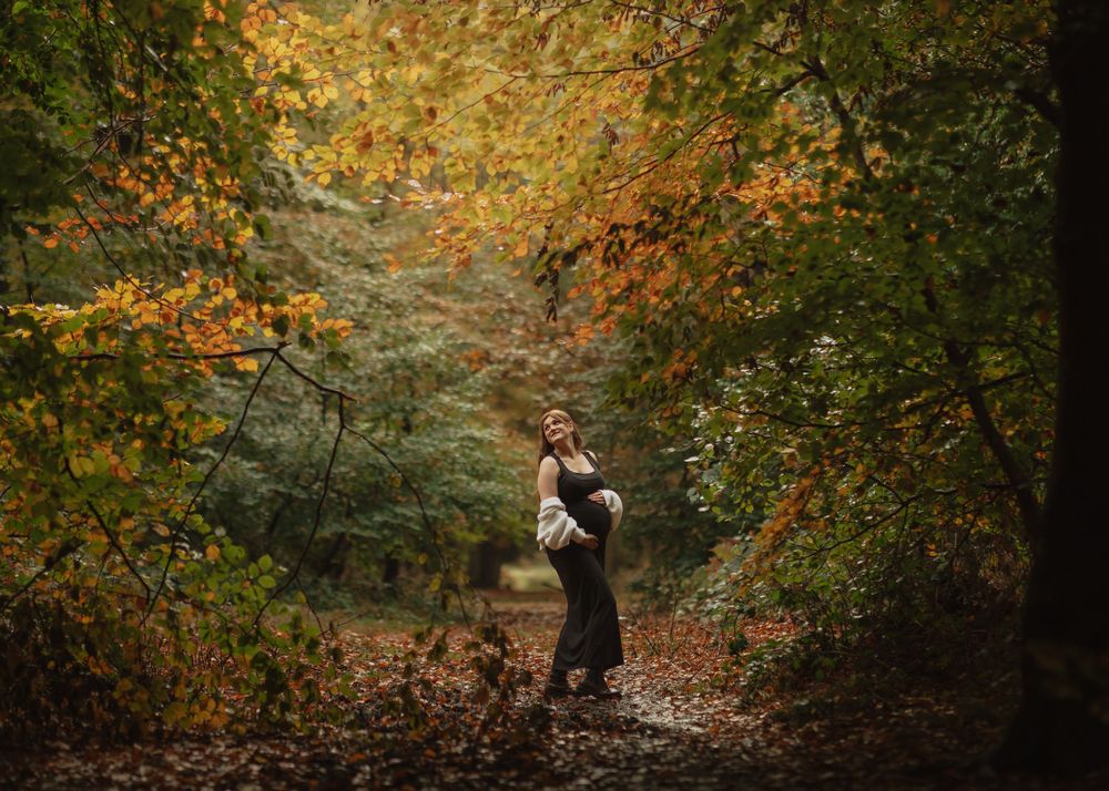 Forest scene in autumn with golden leaves and sunlight filtering through trees creating a magical woodland atmosphere.