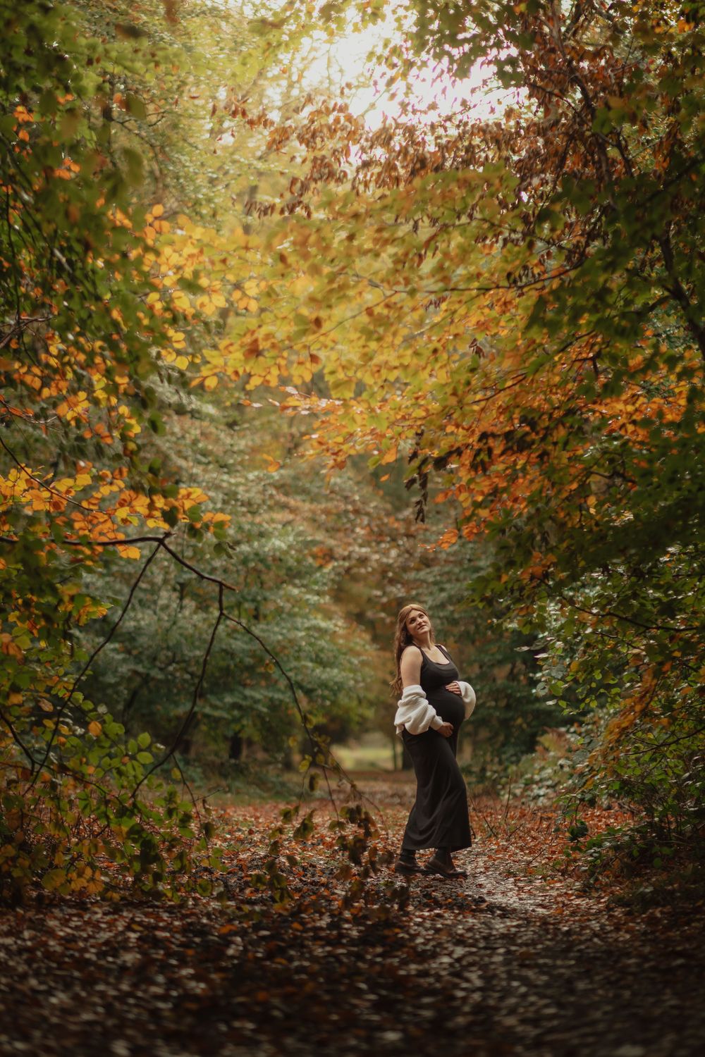 A figure walks along an autumn forest path surrounded by golden leaves and trees creating a magical woodland scene.