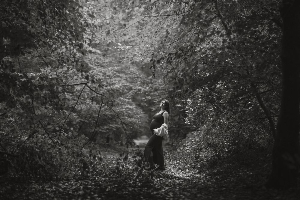 A series of black and white photographs displaying a somber forest pathway lined with dense trees and foliage.