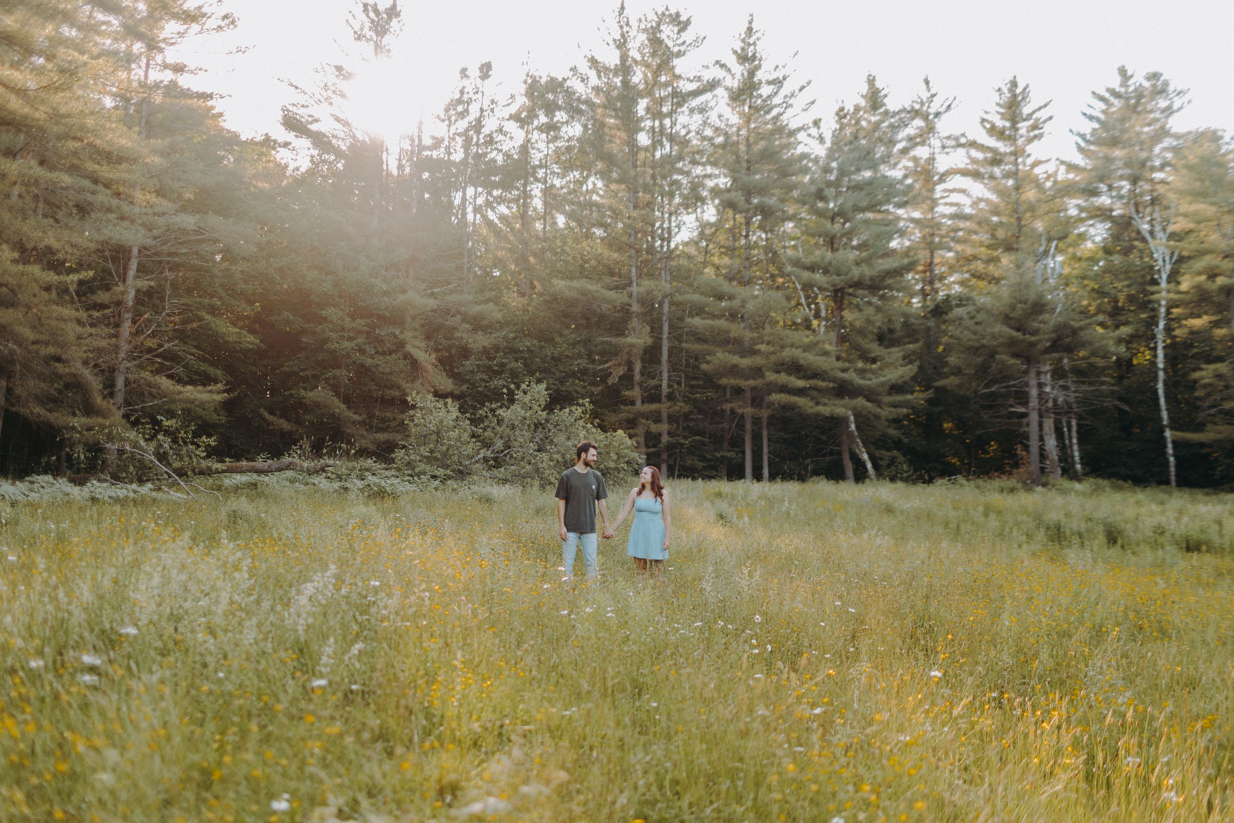 Distant view of couple walking through wildflower meadow surrounded by pine trees.