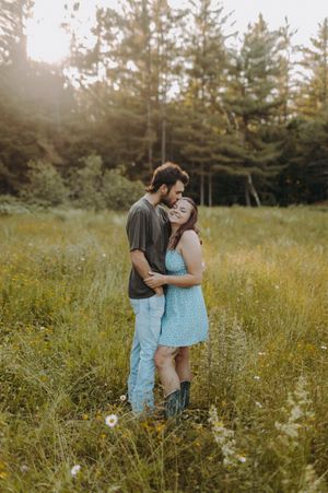 Tender embrace captured in a golden meadow with evergreens at sunset.