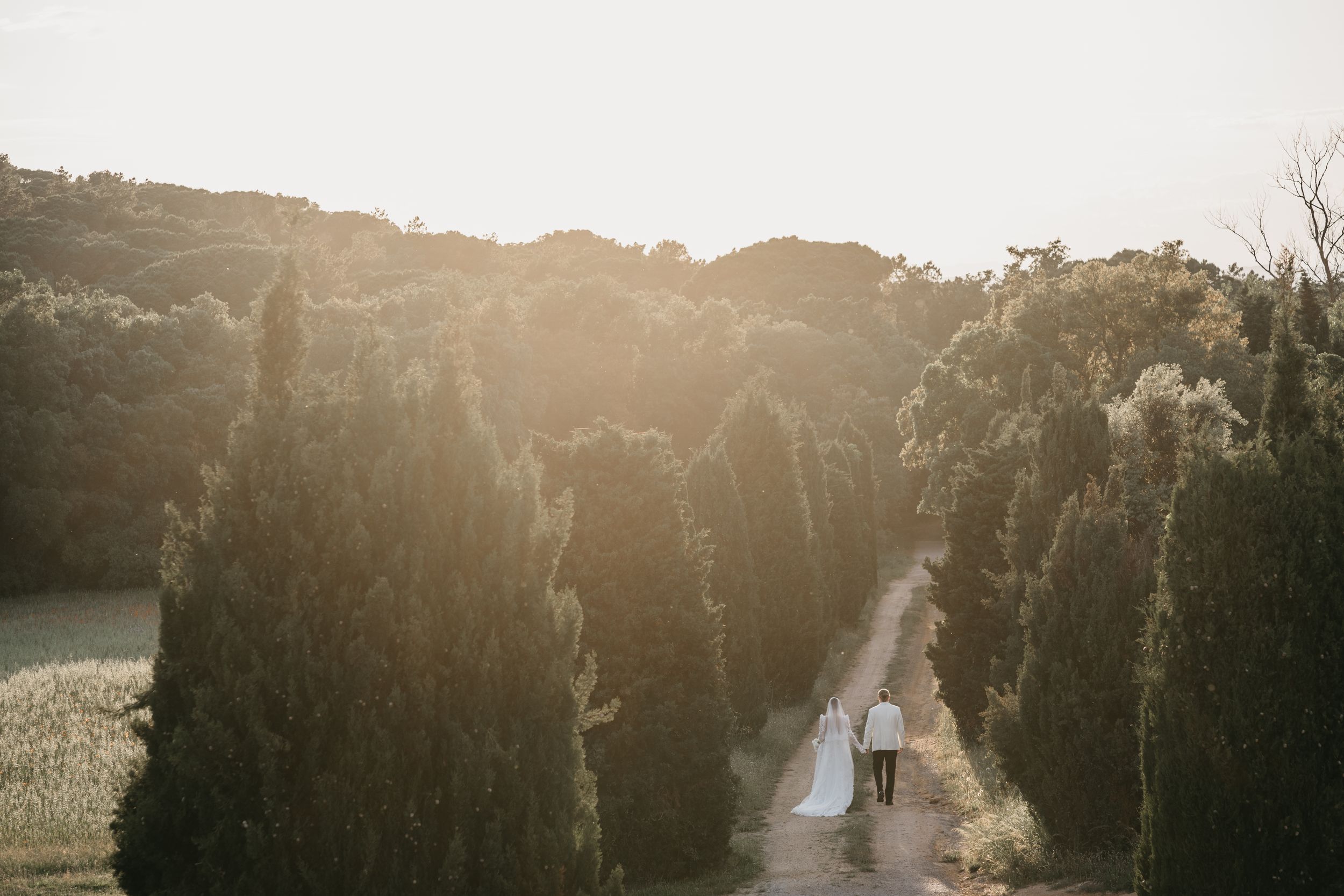 A cinematic outdoor wedding scene with lens flare illuminating silhouettes against a golden sunset.